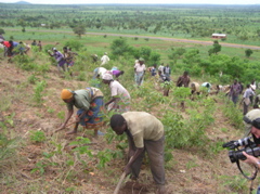 Planting Trees for Shoes